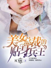美女总裁的贴身兵王杨风陈梦瑶封面