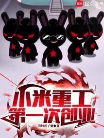 小米重工，第一次创业！封面