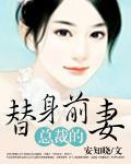 总裁的替身前妻【完结】封面