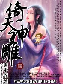 倚天神雕封面