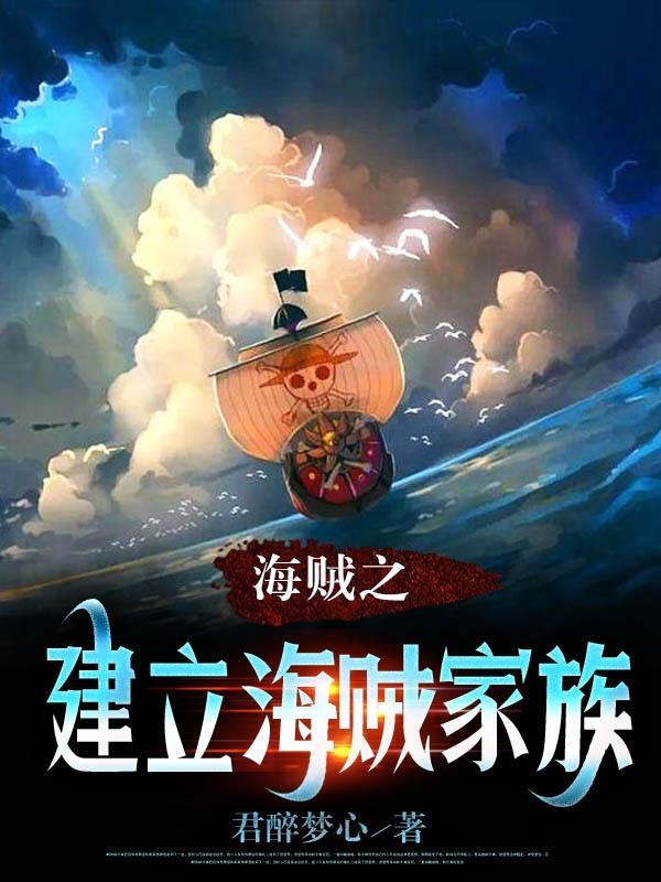 海贼之建立海贼家族封面