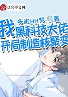 我，黑科技大佬，开局制造核聚变封面