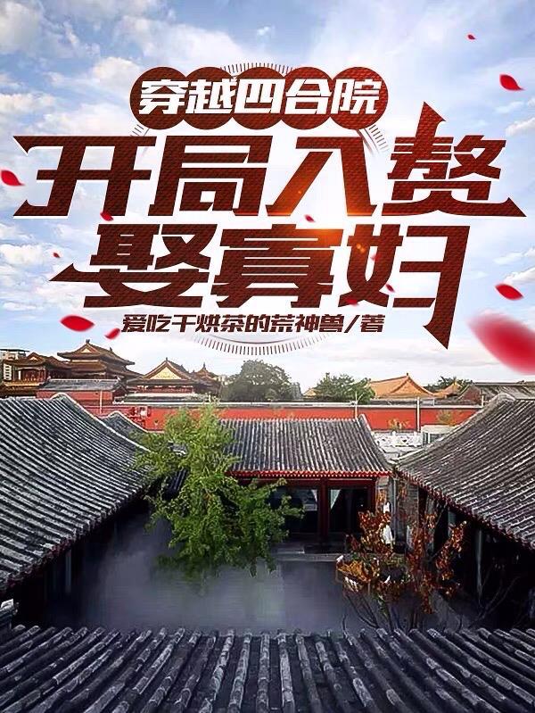 穿越四合院,开局入赘娶寡妇封面