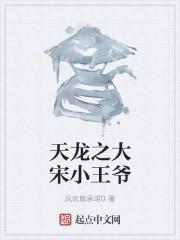 天龙之大宋小王爷封面