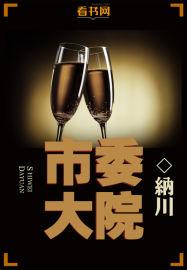 市委大院封面