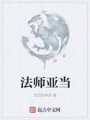 法师亚当封面