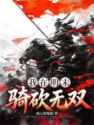 我在明末骑砍无双封面
