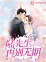 陆先生,再别无期封面