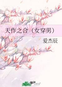 天作之合(女穿男)封面