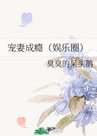 宠妻成瘾（娱乐圈）封面