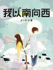 我以南向西封面