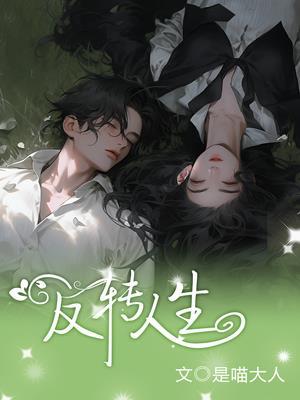 反转人生封面