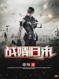 魏南风云曦月封面