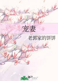 宠妻封面