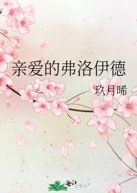 亲爱的弗洛伊德封面