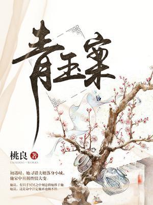 青玉案封面