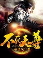 不灭天尊封面