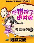 抱错娘子进对封面