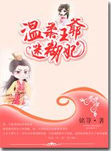 温柔王爷迷煳妃封面