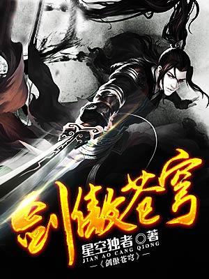 剑傲苍穹封面