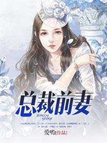 总裁前妻封面
