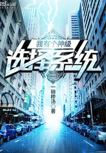 我有个神级选择系统封面