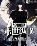 轮回眼末世纵横封面