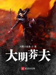 大明莽夫张昊封面
