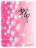 一路繁花相送封面