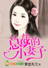 总裁的小妻封面