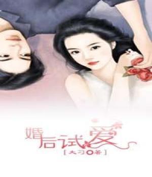 婚后试爱封面