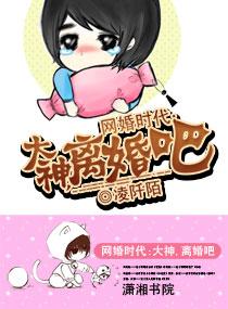 网婚时代:大神，离婚吧封面