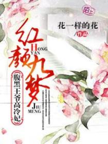 红颜九梦：腹黑王爷高冷妃封面