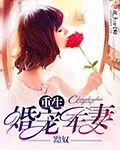 重生婚宠军妻封面