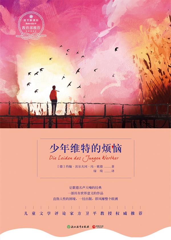少年维特的烦恼封面
