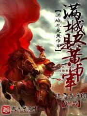 满城尽是黄巾军封面