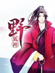 野狐禅封面