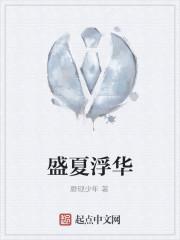 盛夏浮华封面