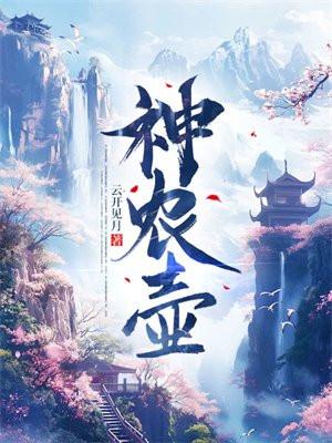 神农壶封面
