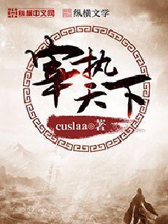 宰执天下封面