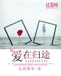 爱在归途封面