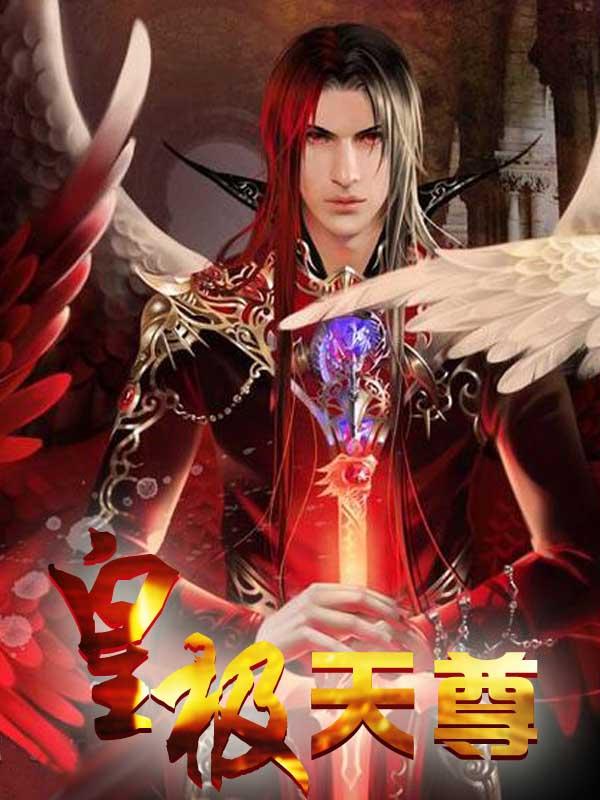 皇极天尊封面