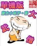 单机版大武封面