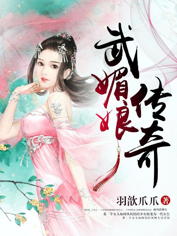 武媚娘传奇封面