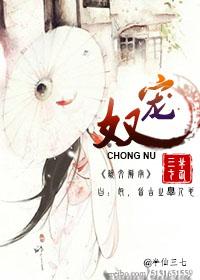 宠奴封面
