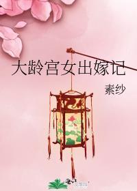 大龄宫女出嫁记封面