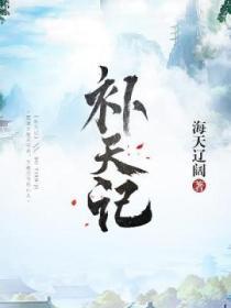 补天记封面