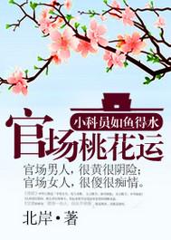 官场桃花运封面