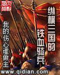 纵横三国的铁血骑兵封面