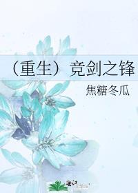 竞剑之锋封面
